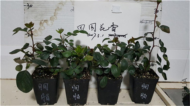 20180228_233435.jpg
