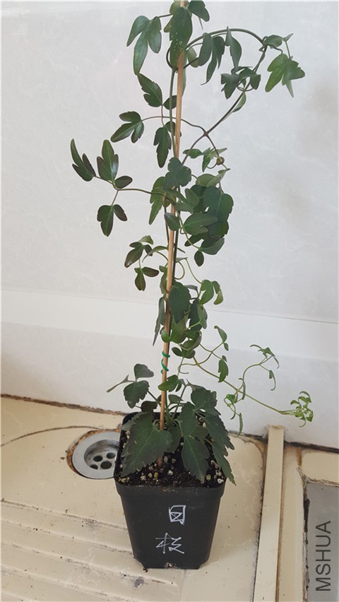 20180301_110108.jpg