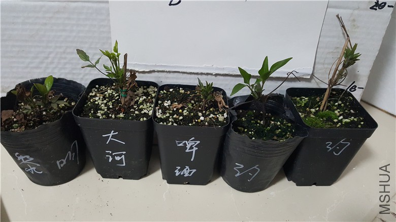 20180301_185310.jpg