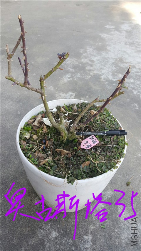 20180228_115732.jpg