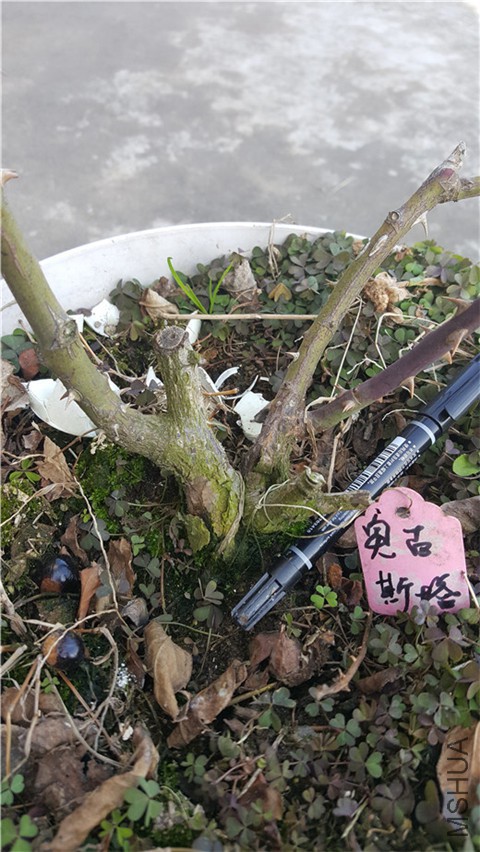 20180223_154656.jpg