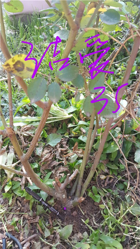 20180228_120259.jpg