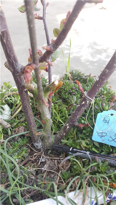 20180223_154111.jpg