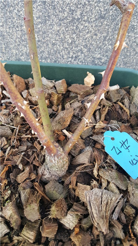 20180226_163820.jpg