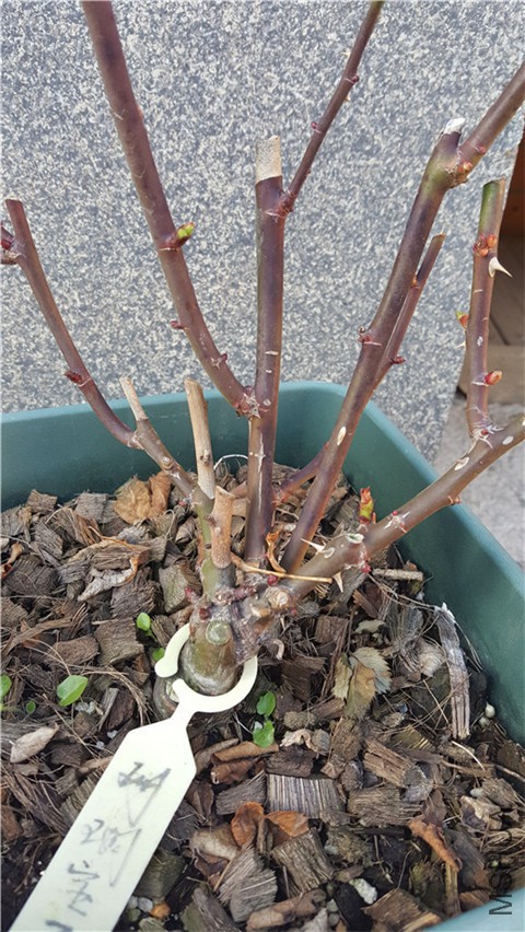 20180226_163720.jpg