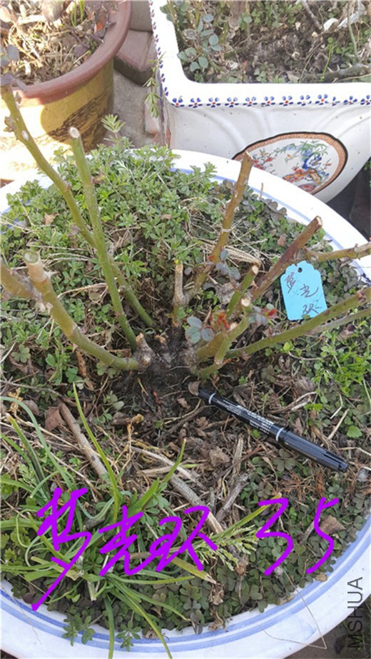 20180228_114445.jpg