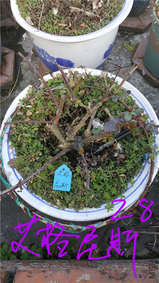 20180228_114338.jpg