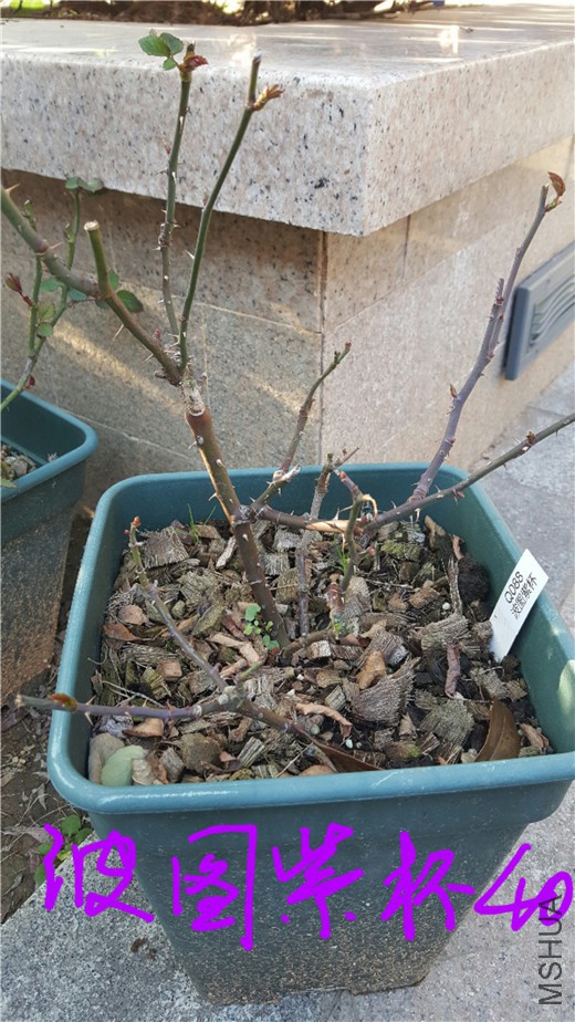 20180228_113235.jpg