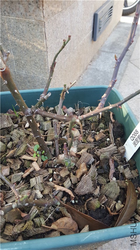 20180226_164039.jpg