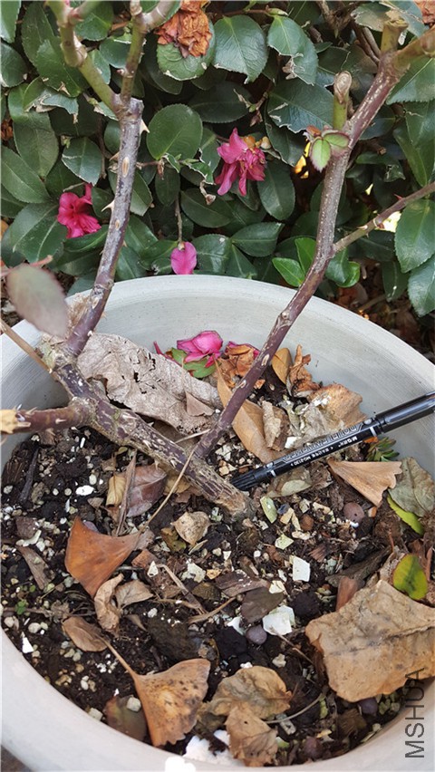 20180226_164843.jpg