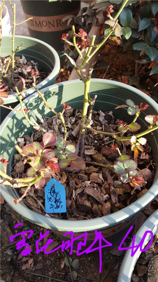20180228_112718.jpg