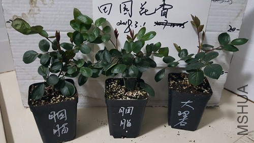 20180301_215156.jpg