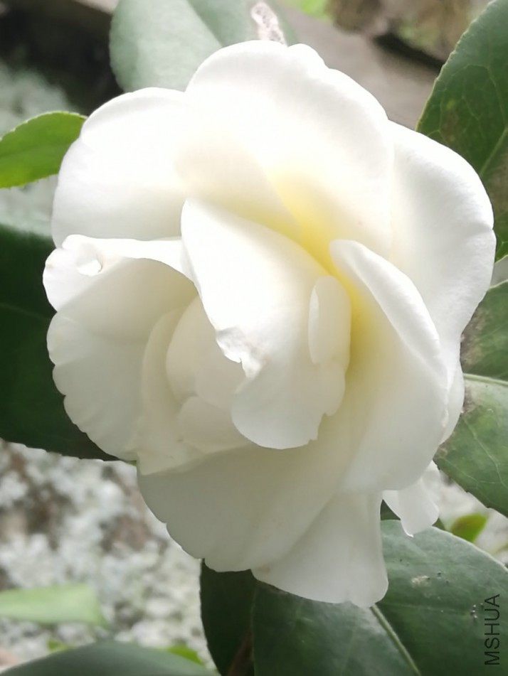 �ף�     ��4.jpg