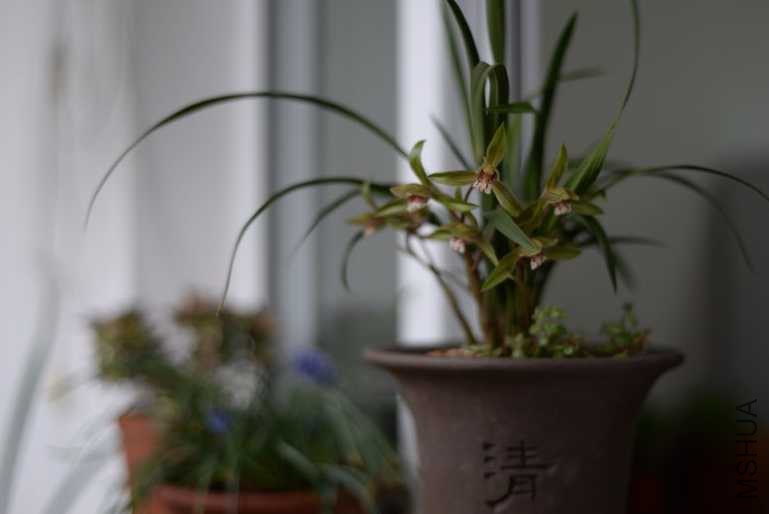 mmexport1520112503285-02.jpeg