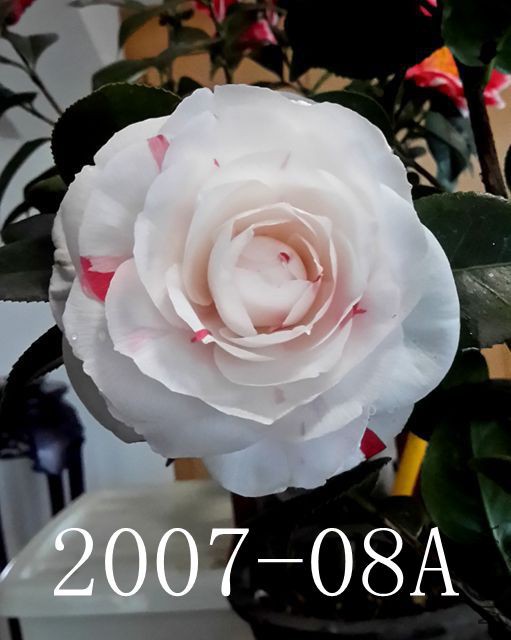 20180302_124250_����.jpg