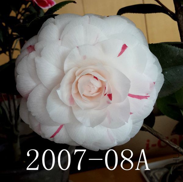 20180304_111417_����.jpg