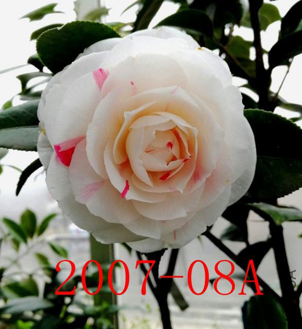 mmexport1520022350638 - ���� _����.jpg