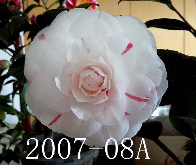 20180304_111448_����.jpg