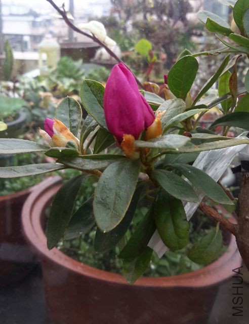 20180302_124356_����.jpg