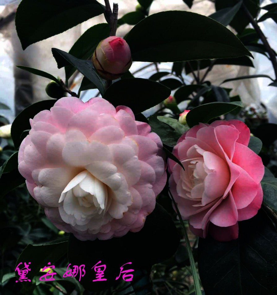 20180305143654.jpg