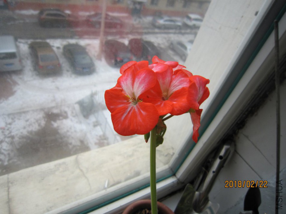 IMG_0070_1024x768.JPG