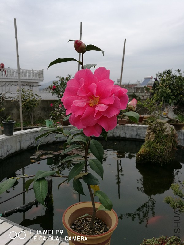 IMG_20180306_132844.jpg
