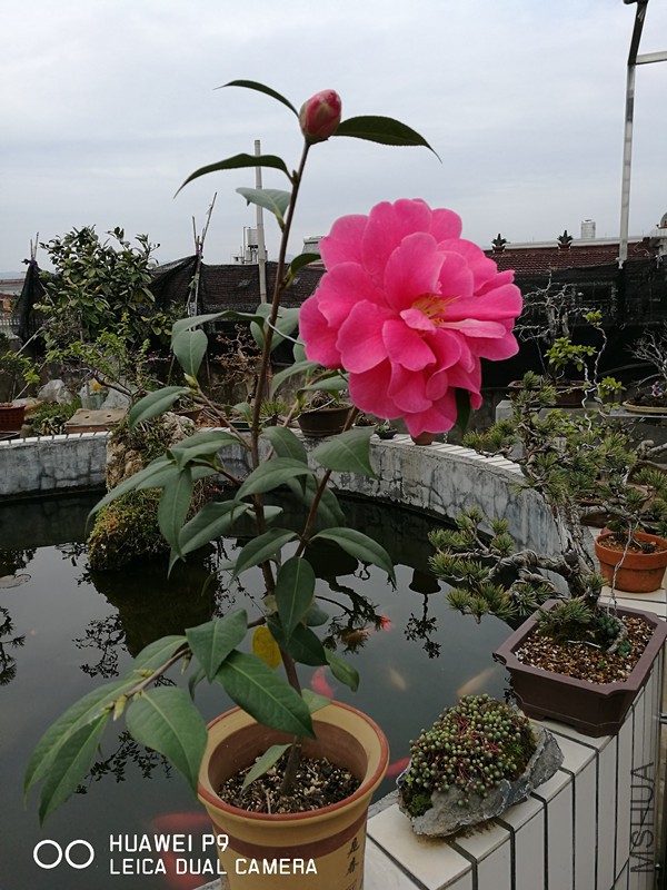 IMG_20180306_132852.jpg