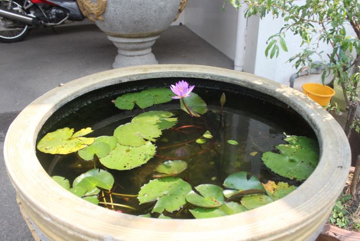 2018-03-06 14_02_10-IMG_0985.jpg