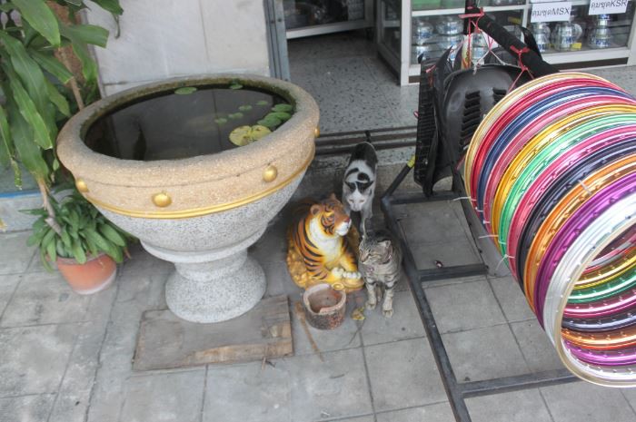 2018-03-06 14_02_46-IMG_0989.jpg