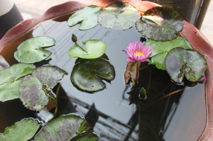 2018-03-06 14_03_03-IMG_0991.jpg