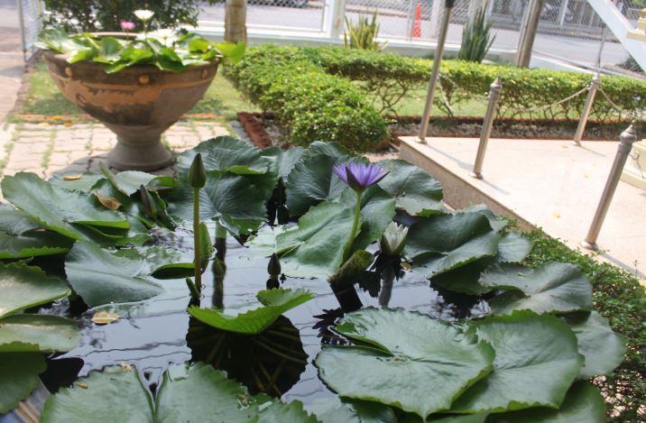 2018-03-06 14_06_27-IMG_1016.jpg