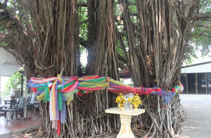 2018-03-06 14_05_54-IMG_1011.jpg