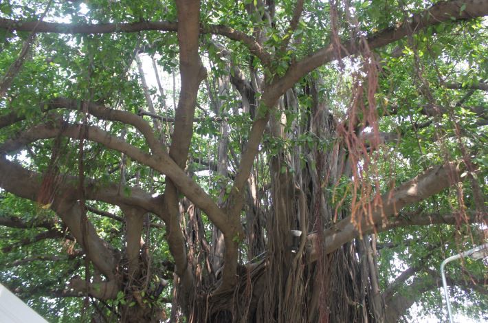 2018-03-06 14_06_10-IMG_1015.jpg