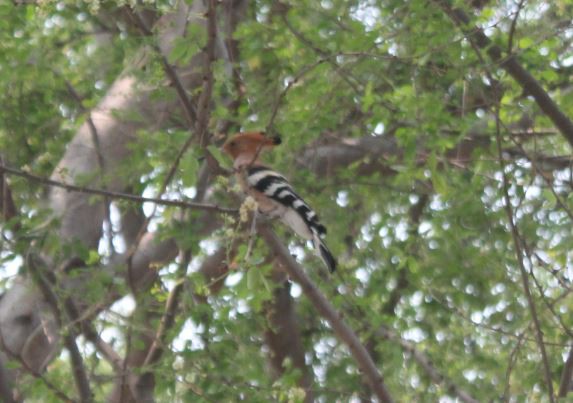 2018-03-06 14_06_59-IMG_1031.jpg