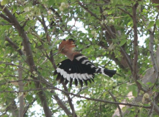 2018-03-06 14_07_15-IMG_1032.jpg