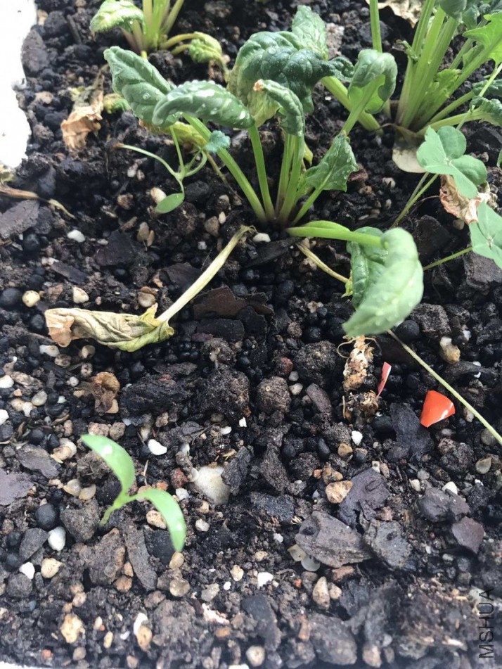 ΢��ͼƬ_20180305221459_����.jpg