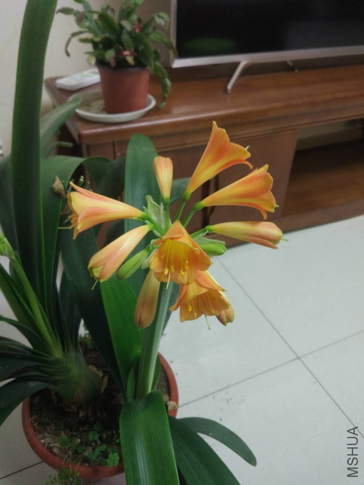 ΢��ͼƬ_20180307165919.jpg