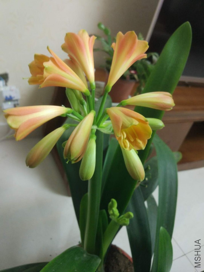 ΢��ͼƬ_20180307171540.jpg