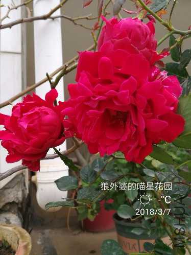 PicsArt_03-07-10.27.50.jpg