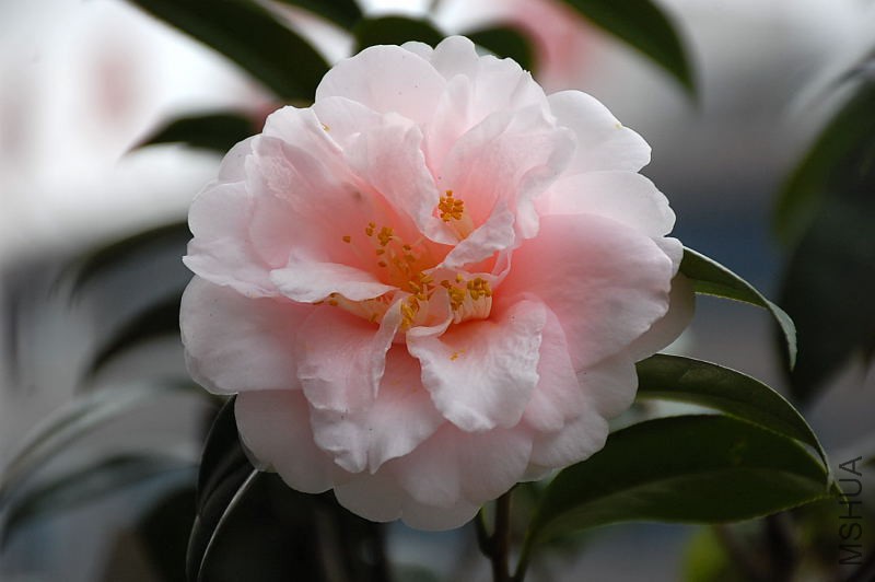 DSC_76150725.JPG