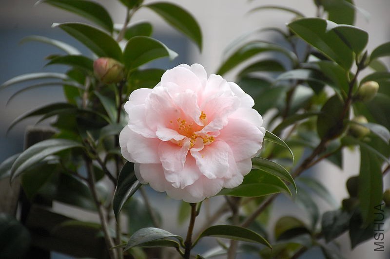 DSC_76140724.JPG