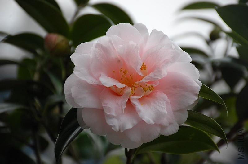 DSC_76170727.JPG