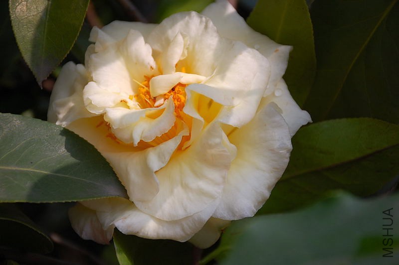 DSC_73590469.JPG