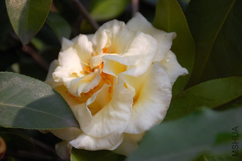 DSC_73600470.JPG