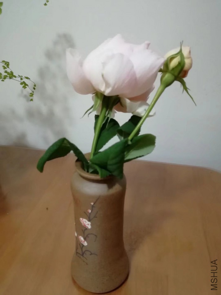 psb (1).jpg