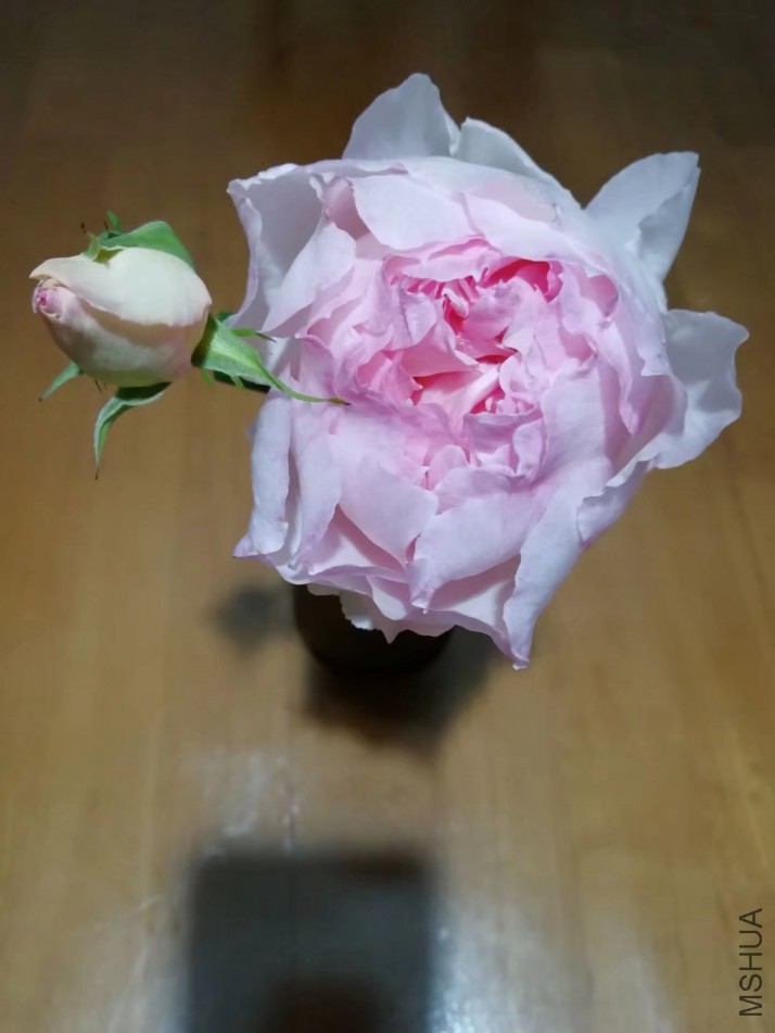 psb (7).jpg