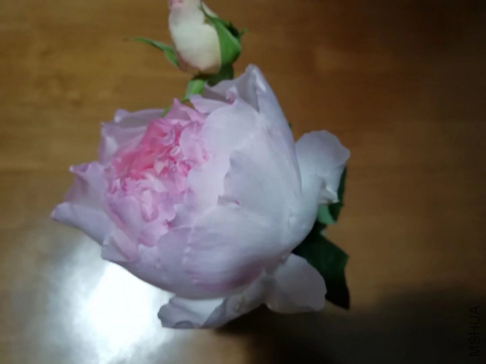 psb (8).jpg
