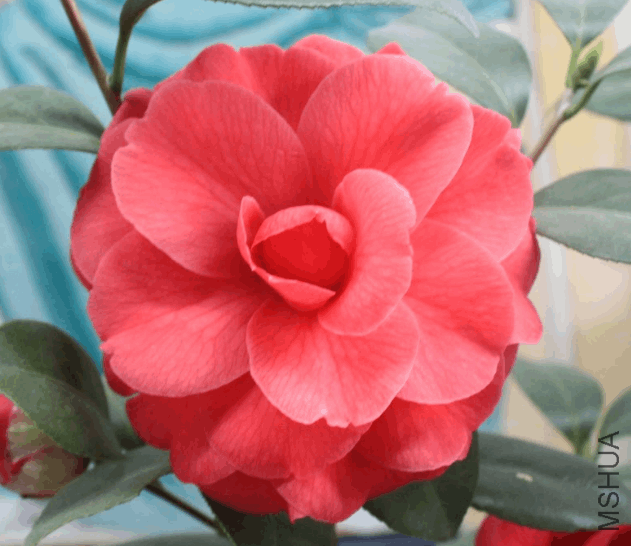 2018-03-09 10_22_49-IMG_3902.JPG &amp;#8206;- ��Ƭ.png
