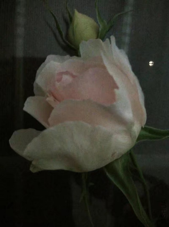 psb (11).jpg
