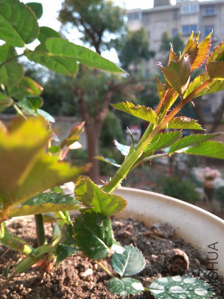 IMG_20180309_162245_resize.jpg